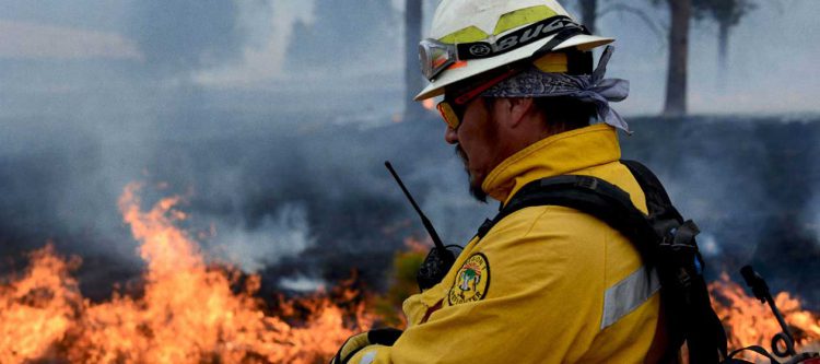 firefighter fighting wildfire