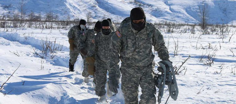 defense operators in alaskan wilderness