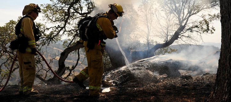 wildland firefighters