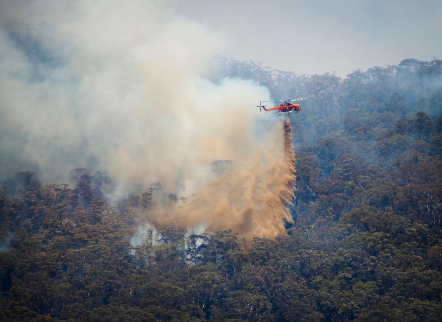 Lessons learned from the devastating 2019/20 NSW bushfire season 