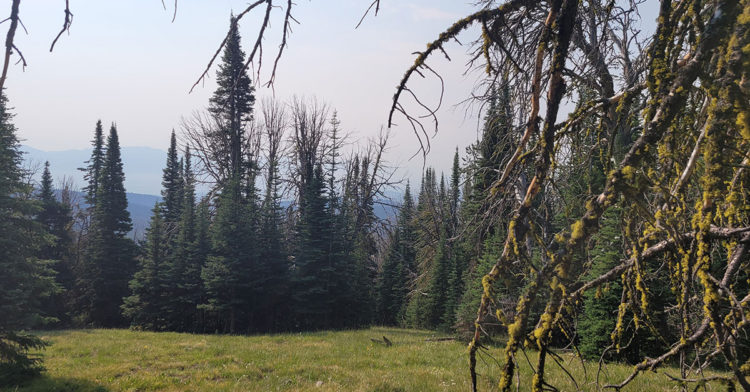 View from a Tough Stump Tech Rodeo Test - goTenna Pro X positioning