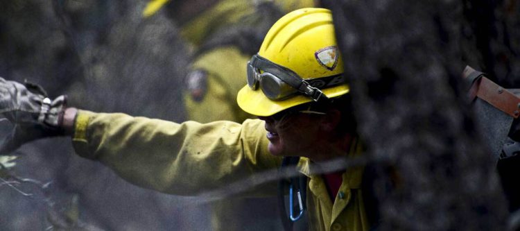 Wildland firefighter wearing a helmet