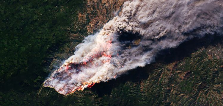 Wildfire image