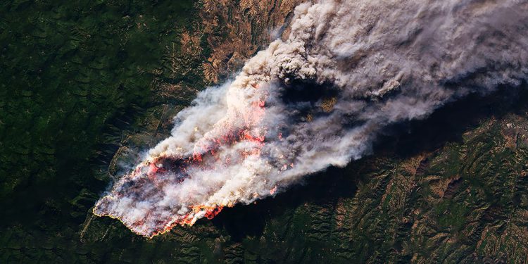 Wildfire image